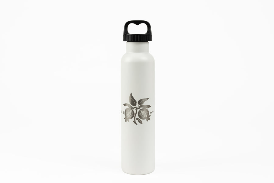 750mL Stainless Steel Water Bottle